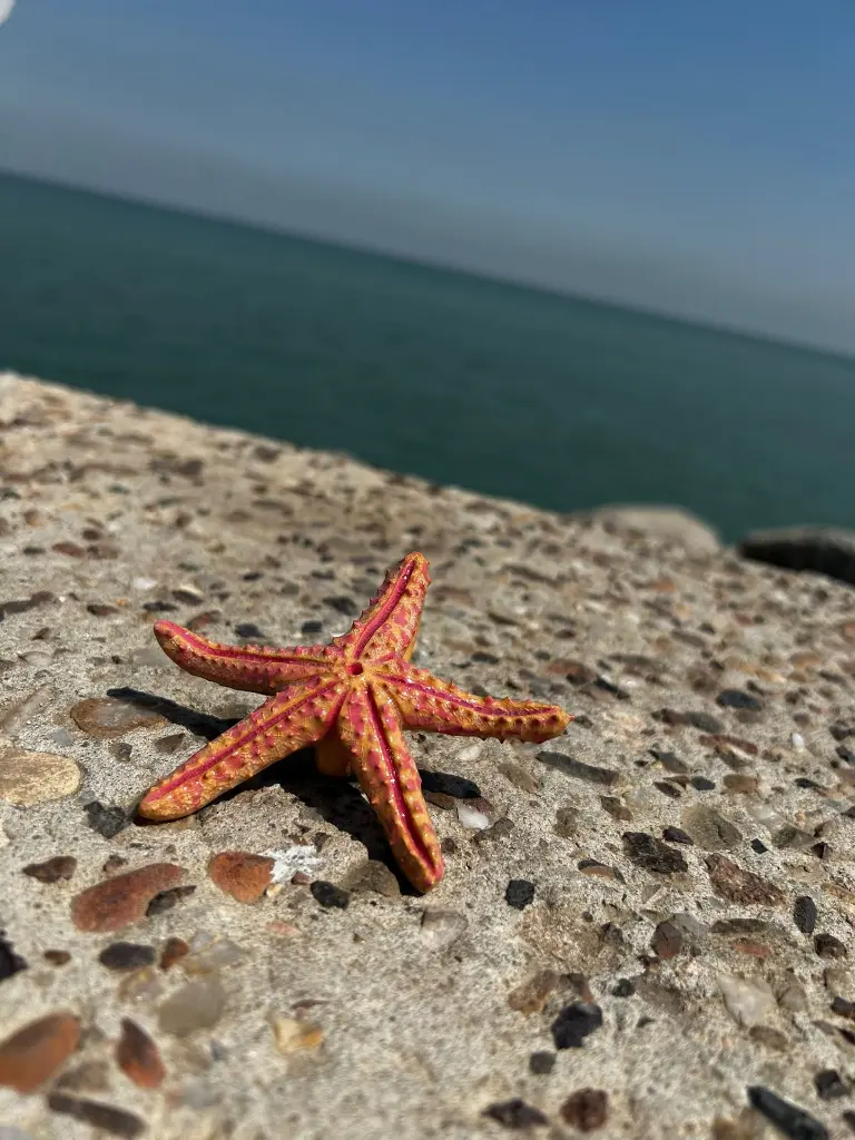 WhatsApp Image 2025-09-03 at 12.08.07 PM.webp